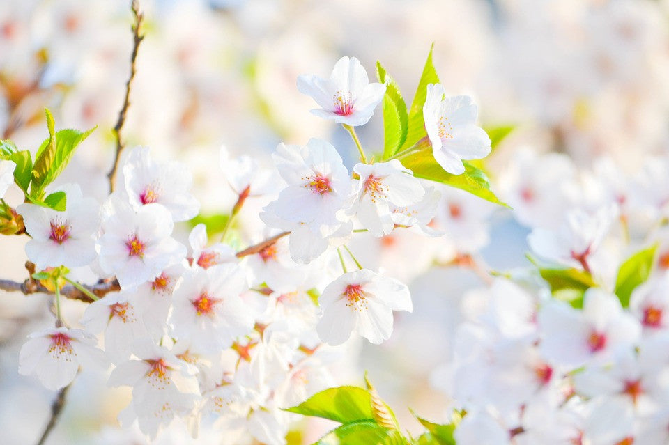 test remove tag